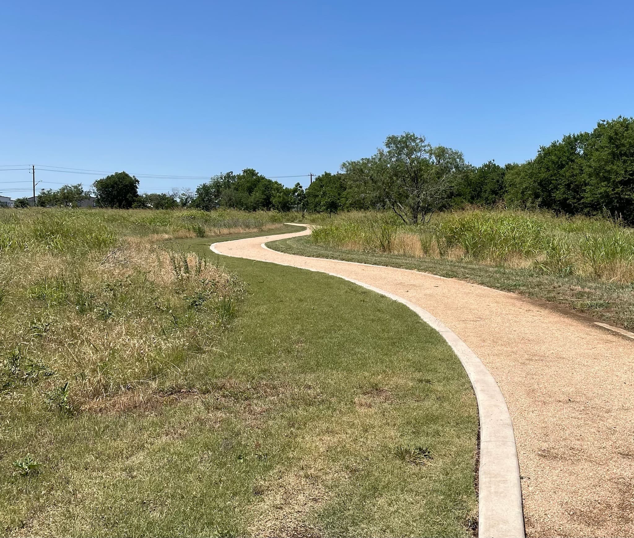 Metro park trail