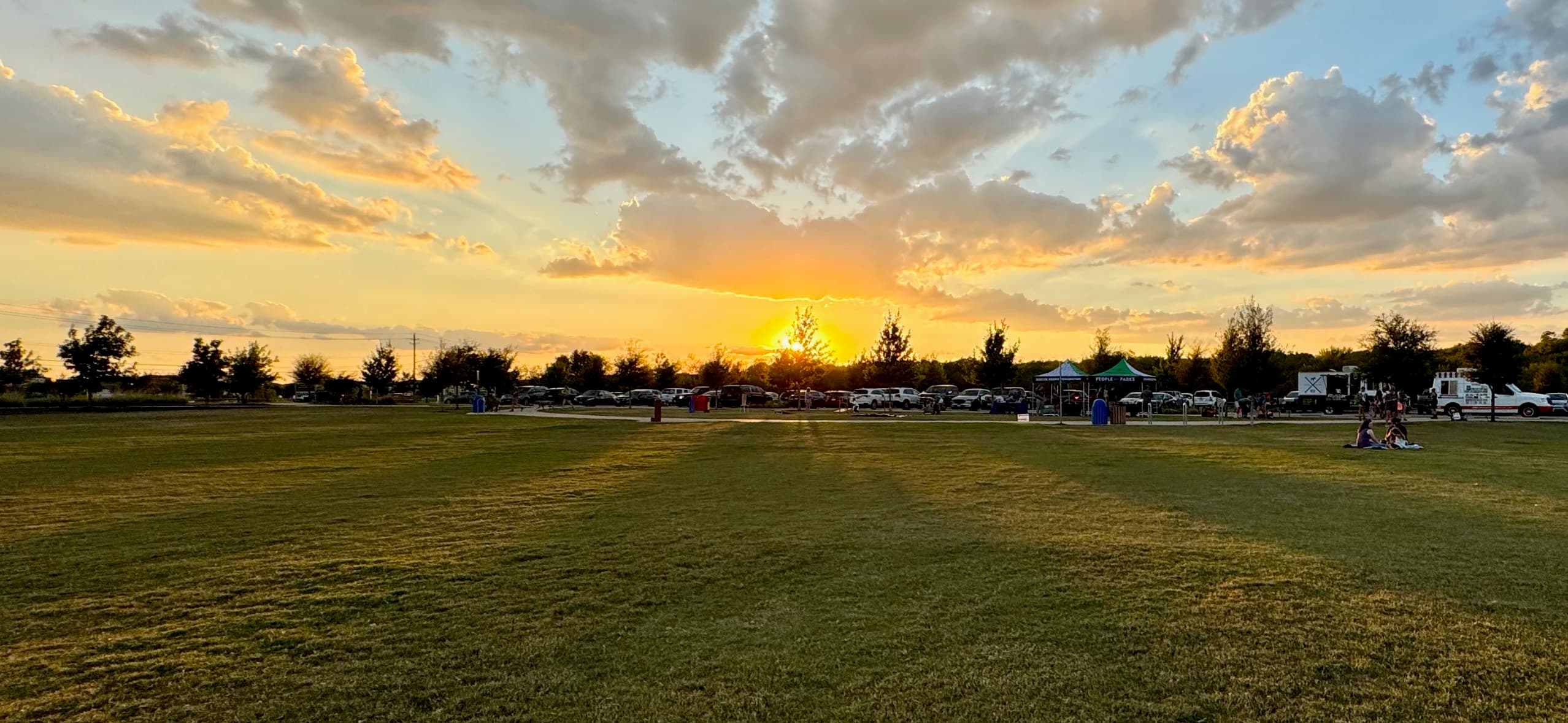 Metro Park field